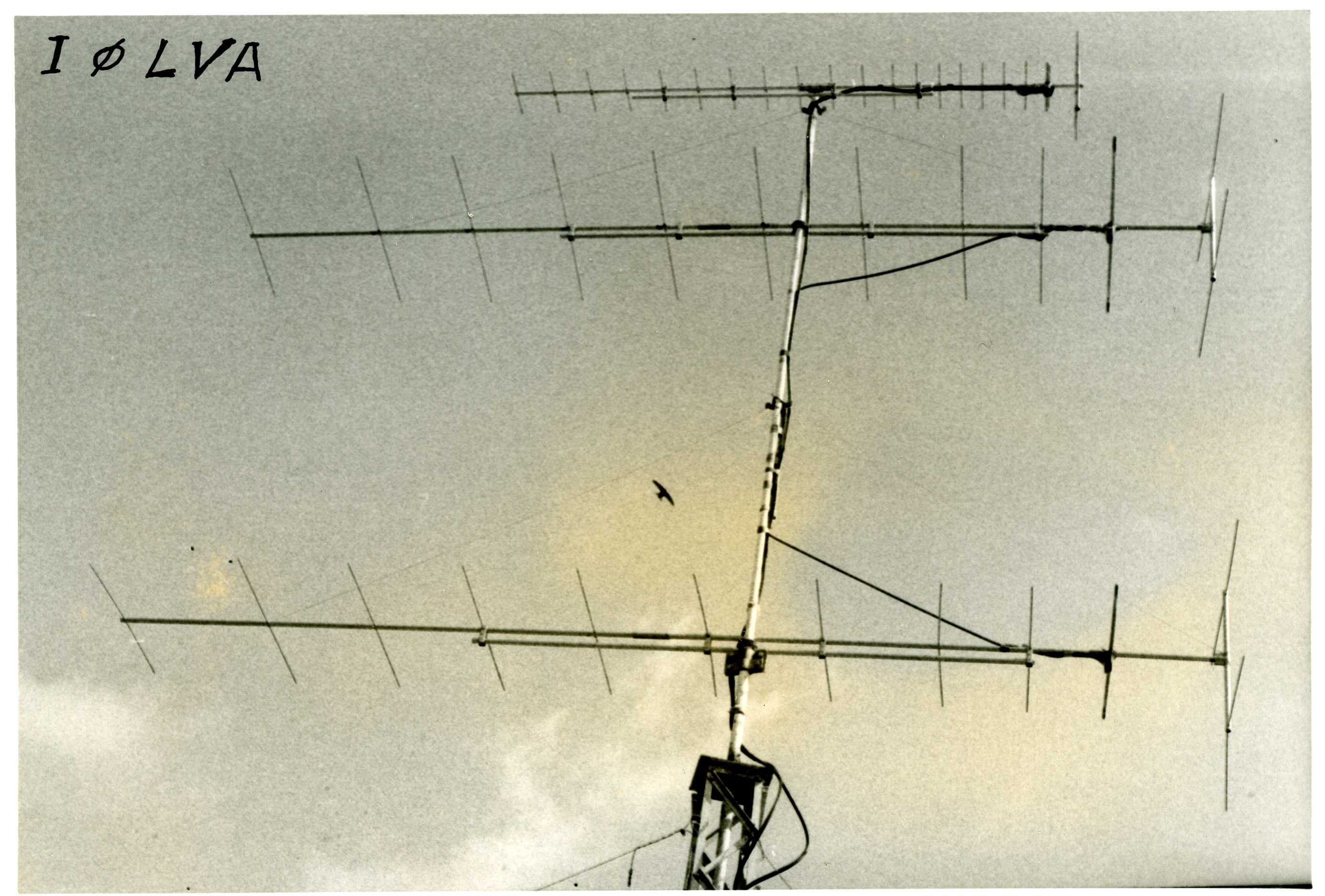Antenne_1972029 Antenne_1972029
